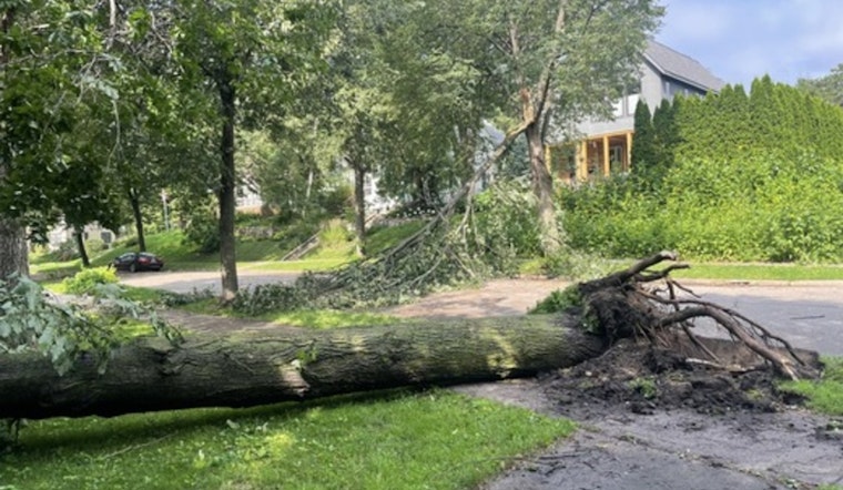 Minneapolis Reels from Storm Aftermath as Crews Tackle Downed Trees and Power Outages, Urge Use of 311 in Cleanup Efforts