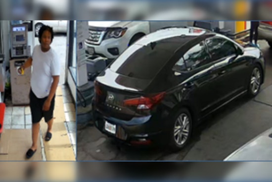 Missing Dog Theo and Owner's Purse Safely Recovered; D.C. Police Seek Help to Find Person of Interest