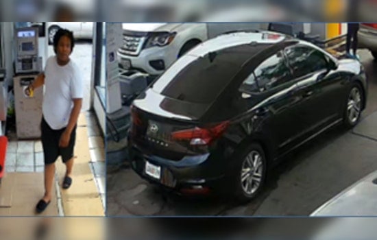 Missing Dog Theo and Owner's Purse Safely Recovered; D.C. Police Seek Help to Find Person of Interest