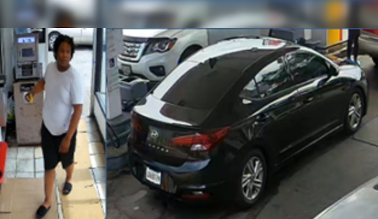 Missing Dog Theo and Owner's Purse Safely Recovered; D.C. Police Seek Help to Find Person of Interest