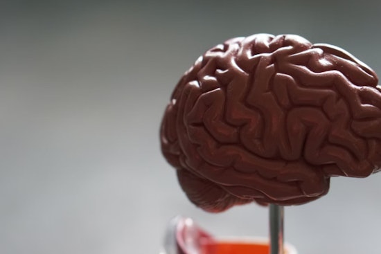 MIT PhD Student Innovates Cellular Analysis with Machine Learning, Advancing Alzheimer's Research