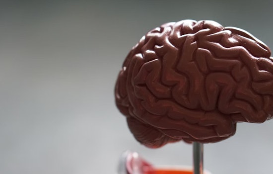 MIT PhD Student Innovates Cellular Analysis with Machine Learning, Advancing Alzheimer's Research