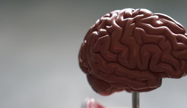 MIT PhD Student Innovates Cellular Analysis with Machine Learning, Advancing Alzheimer's Research