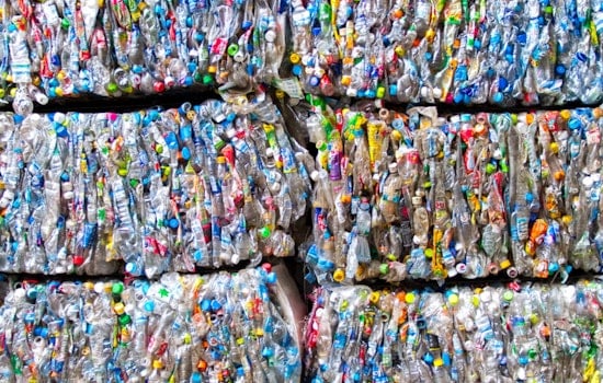 MIT Study Advocates for National Bottle Deposit Program to Boost U.S. Recycling Rates