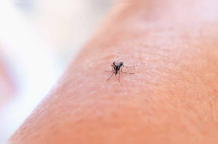 Montgomery County Intensifies Mosquito Control Efforts After West Nile Case, Program Moves to New Precinct for Enhanced Operations