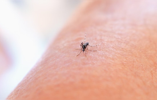 Montgomery County Intensifies Mosquito Control Efforts After West Nile Case, Program Moves to New Precinct for Enhanced Operations