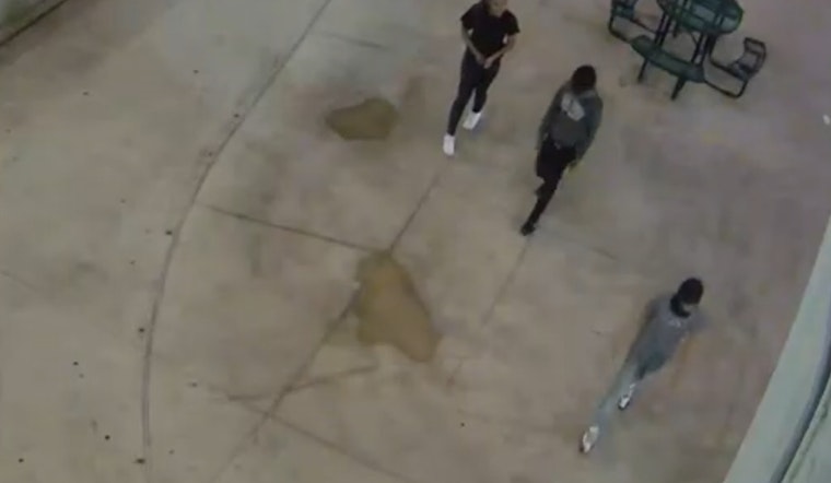 Montgomery County Police Seek Public Help to Identify Suspects in Assault of Unhoused Individuals in Silver Spring