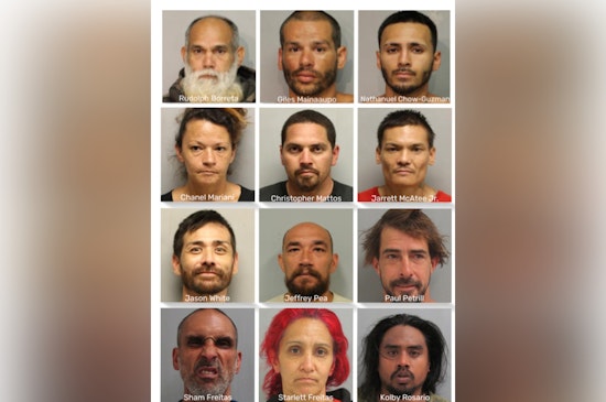 Multi-Agency Operation Leads to Arrests Across East Hawai'i for Various Criminal Charges