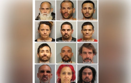 Multi-Agency Operation Leads to Arrests Across East Hawai'i for Various Criminal Charges