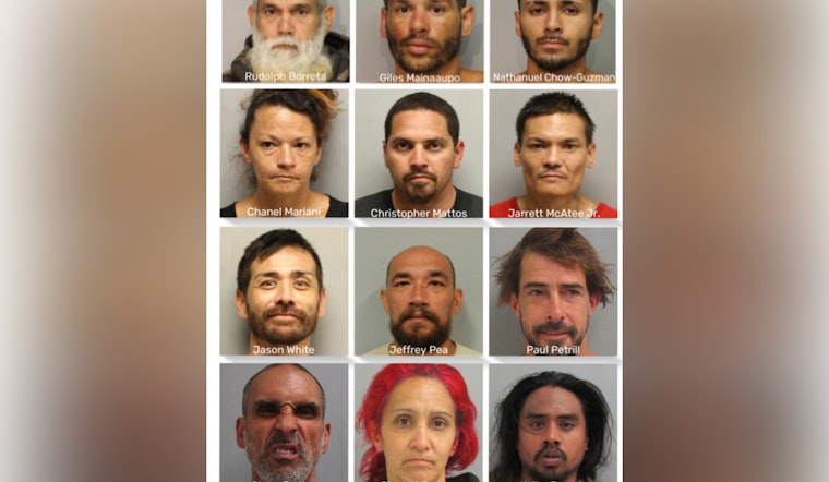 Multi-Agency Operation Leads to Arrests Across East Hawai'i for Various Criminal Charges