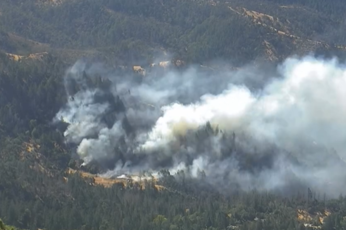 Napa County's Cal Fire Crews Wrestle with Toll Fire, 10% Contained as