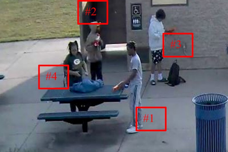 Naperville Crime Stoppers Offers Cash Reward for Information on Commissioners Park Battery and Theft Case