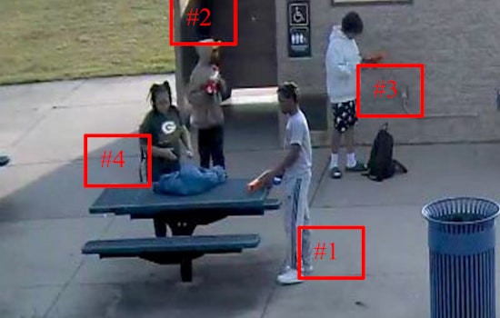 Naperville Crime Stoppers Offers Cash Reward for Information on Commissioners Park Battery and Theft Case
