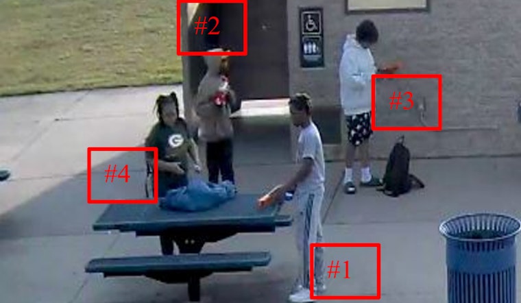 Naperville Crime Stoppers Offers Cash Reward for Information on Commissioners Park Battery and Theft Case