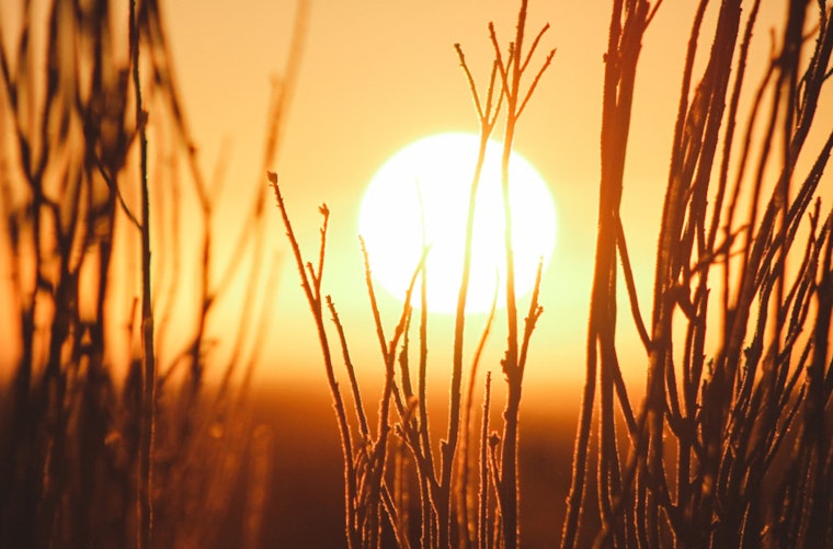 Nashville Heat Advisory, Residents Warned of Heat Index Values up to 112 Ahead of Holiday Weekend
