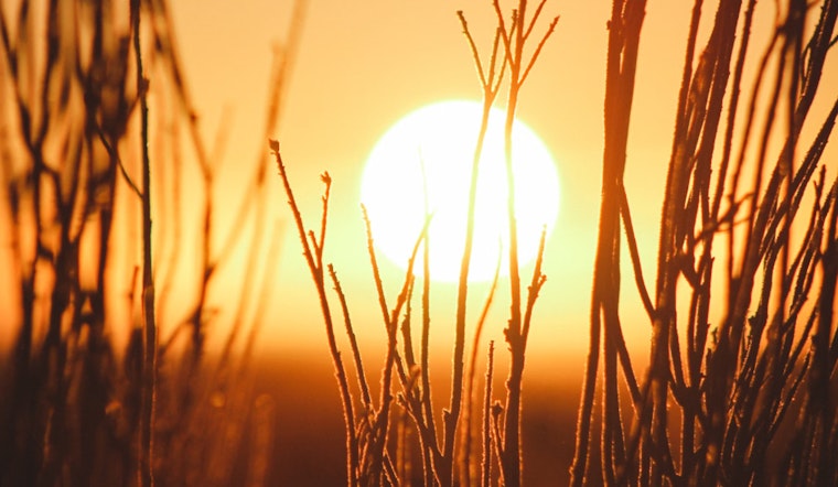 Nashville Heat Advisory, Residents Warned of Heat Index Values up to 112 Ahead of Holiday Weekend