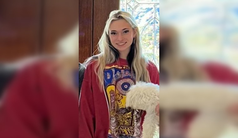 Nashville Man Suspected in Murder of Girlfriend After Posting Bond for Previous Violence