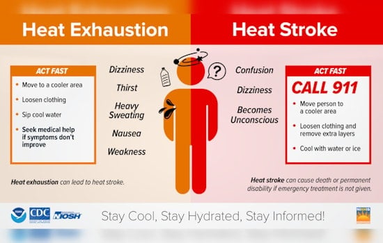Nashville OEM Activates Heat Patrols Amidst Heat Advisory, Urges Precautions for Residents and Pets