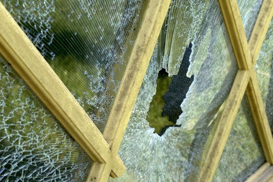 Nelson Township Alert Neighbor Thwarts Break-In, Leading to Woodland Manhunt and Arrest