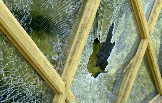 Nelson Township Alert Neighbor Thwarts Break-In, Leading to Woodland Manhunt and Arrest