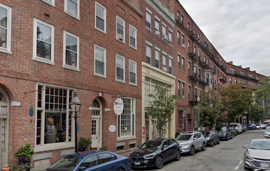 New Cat Cafe and Micro-Bookstore Opens in Boston's Beacon Hill to Delight Feline Aficionados