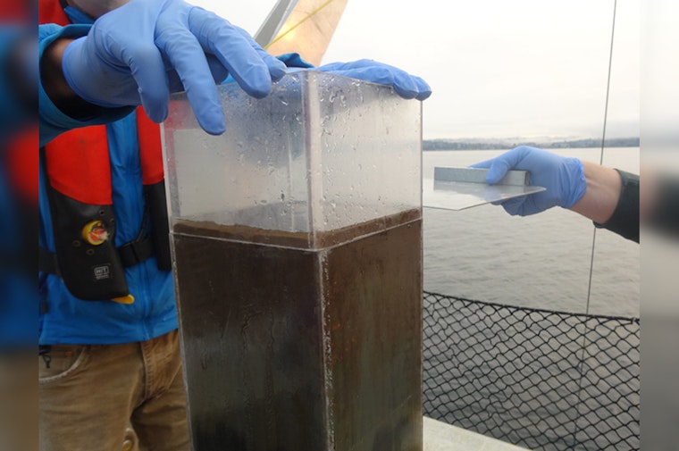 New Study Shows Historic Decline in Toxic PCBs in Seattle’s Lake Washington