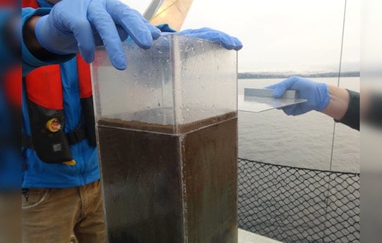 New Study Shows Historic Decline in Toxic PCBs in Seattle’s Lake Washington