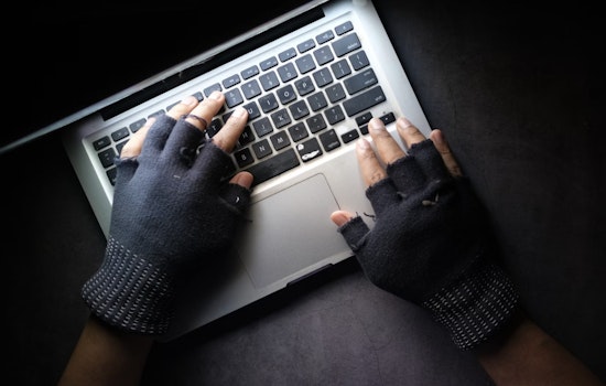 Nigerian National Sentenced to Over 12 Years in U.S. Prison for Extensive Cyber Fraud