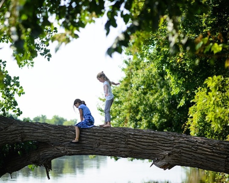 Final Spots up for Grabs at North Mississippi Regional Park's Educational Day Camps for Tweens