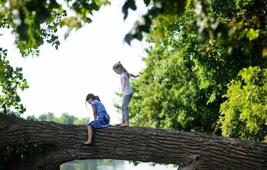 Final Spots up for Grabs at North Mississippi Regional Park's Educational Day Camps for Tweens