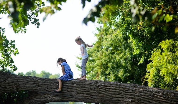 Final Spots up for Grabs at North Mississippi Regional Park's Educational Day Camps for Tweens