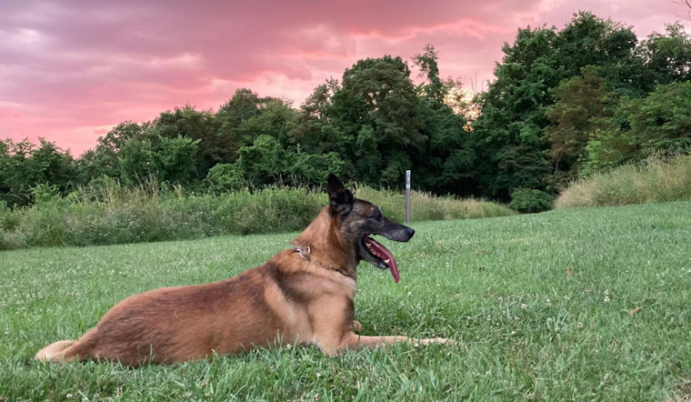 North Versailles Police K-9 Unit Mourns the Loss of Beloved Retired Officer Laky