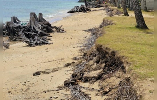 Oʻahu Community Rallies for Climate Action, Tree-Planting at Punaluʻu Beach Park Aims to Combat Shoreline Erosion