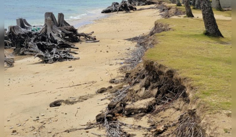 Oʻahu Community Rallies for Climate Action, Tree-Planting at Punaluʻu Beach Park Aims to Combat Shoreline Erosion