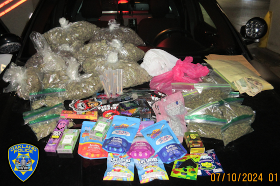 Oakland Police Seize Illegal Substances from Unlicensed Smoke Shop on Seminary Avenue
