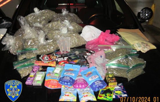 Oakland Police Seize Illegal Substances from Unlicensed Smoke Shop on Seminary Avenue