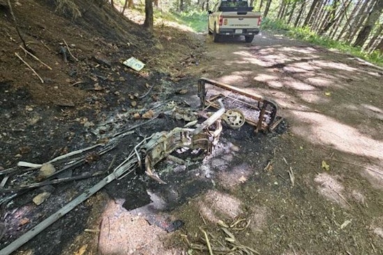 Oregon Law Enforcement Apprehends Suspected Arsonist Amid Rising Wildfire Concerns in Lane County