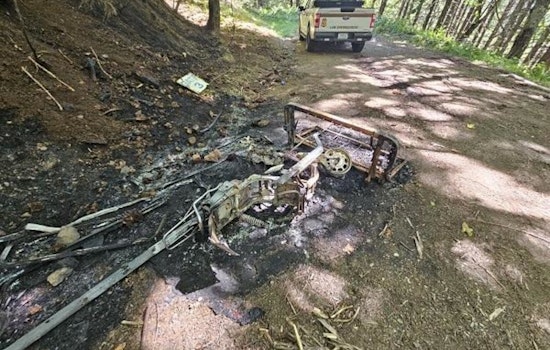 Oregon Law Enforcement Apprehends Suspected Arsonist Amid Rising Wildfire Concerns in Lane County
