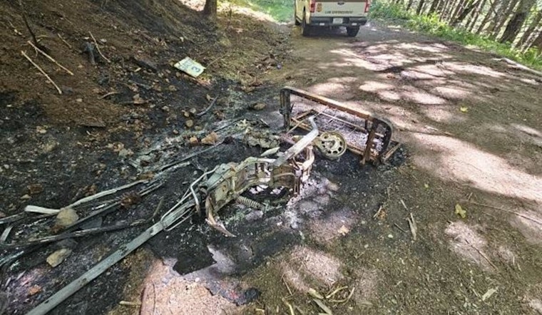 Oregon Law Enforcement Apprehends Suspected Arsonist Amid Rising Wildfire Concerns in Lane County