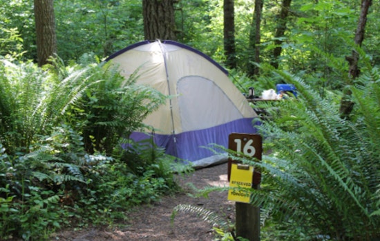 Oregon State Parks Eye Potential Price Increase for Camping and Facilities Amid Economic Pressures