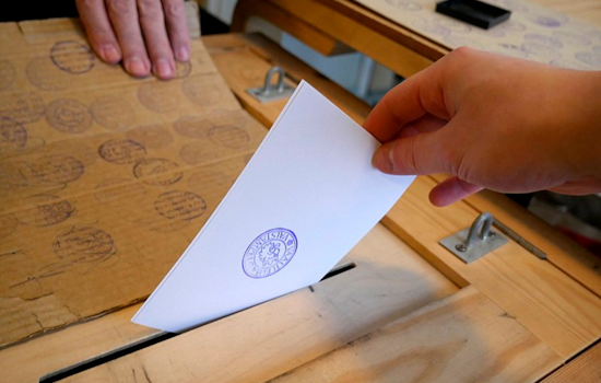 Over 10,000 Michiganders Embrace Early Voting for August Primary Amid Server Glitch