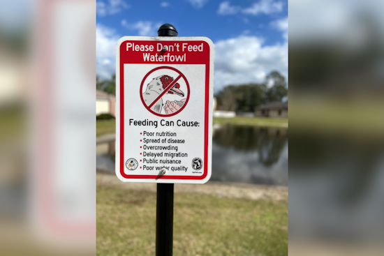 Oviedo City Officials Urge Residents to Stop Feeding Ducks in Local Parks for Wildlife’s Sake