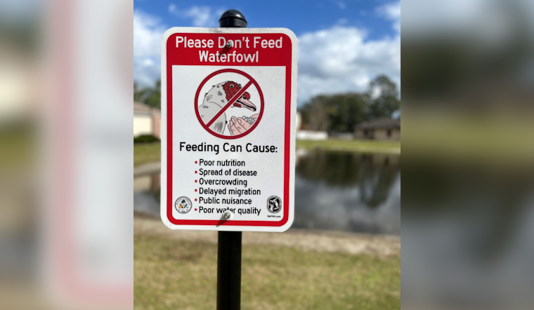 Oviedo City Officials Urge Residents to Stop Feeding Ducks in Local Parks for Wildlife’s Sake