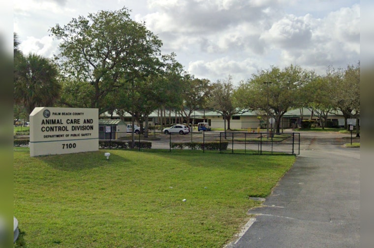 Palm Beach County Alert, Beware of Scammers Targeting Owners of Lost Pets