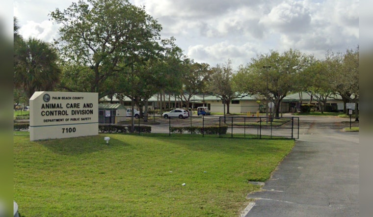 Palm Beach County Alert, Beware of Scammers Targeting Owners of Lost Pets