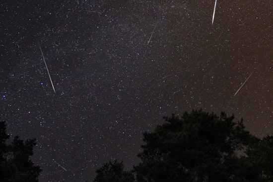 Perseid Meteor Shower Lights Up the Summer Sky, Peak Viewing on August 12-13
