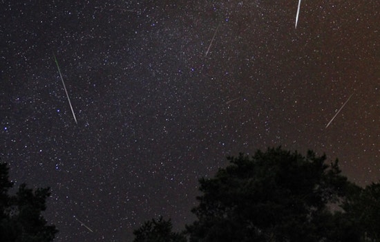 Perseid Meteor Shower Lights Up the Summer Sky, Peak Viewing on August 12-13