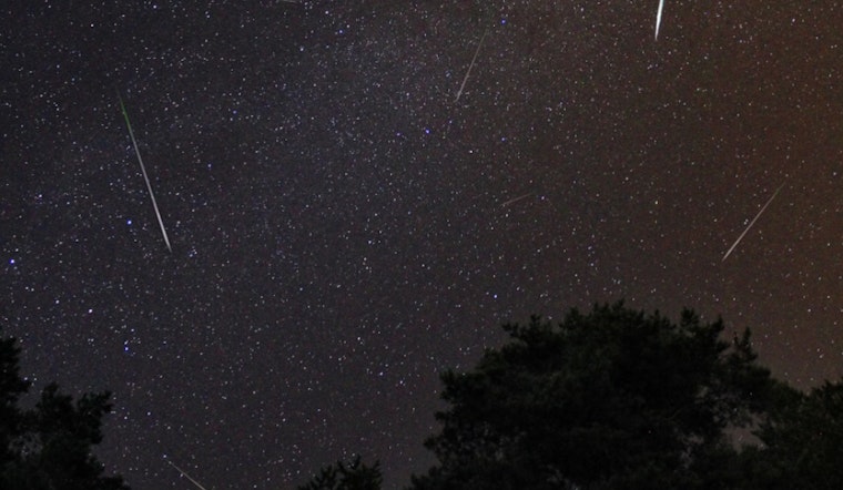 Perseid Meteor Shower Lights Up the Summer Sky, Peak Viewing on August 12-13
