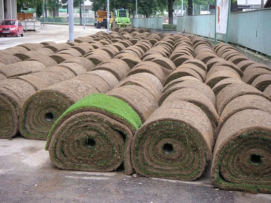 Phase 1 Sod Installation Underway as Pavement Update Disrupts Local Communities, Phase 2 & 3 Construction Activities Ramp Up