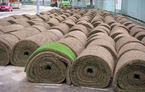 Phase 1 Sod Installation Underway as Pavement Update Disrupts Local Communities, Phase 2 & 3 Construction Activities Ramp Up